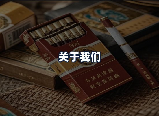 关于我们
